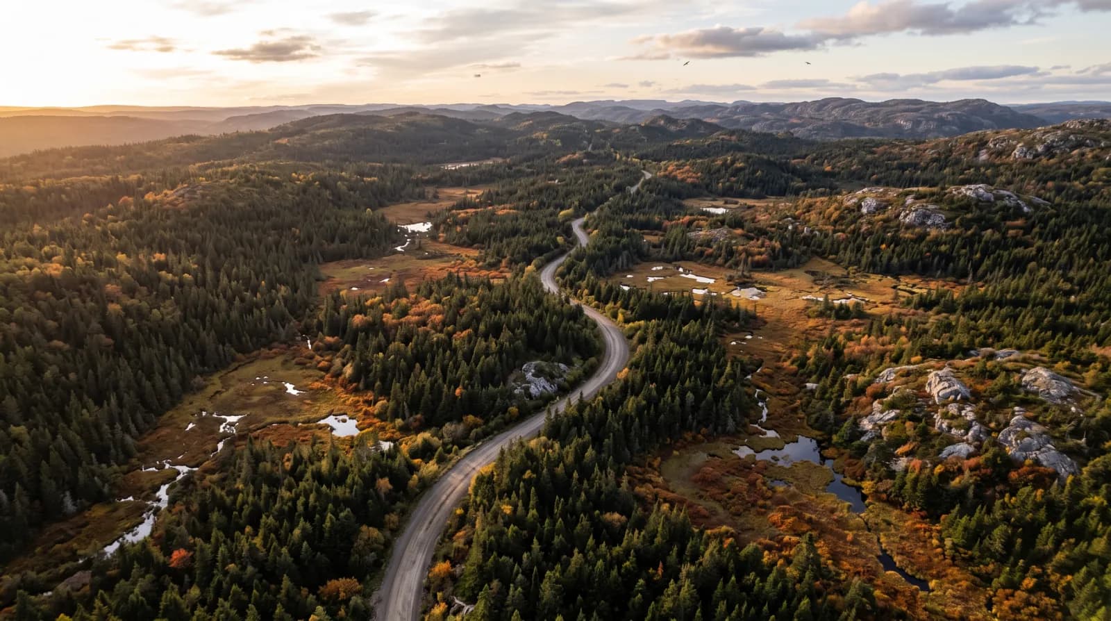 Exploration terrain in central Newfoundland, where the Golden Goose gold-antimony project is located